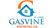 Fired-Up-Consulting-client-gasvine