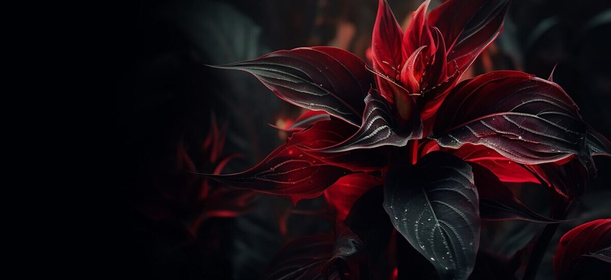 blog skin zinest 02 1200x800