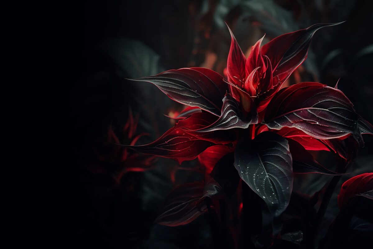 Twilight Solitude Embracing the Calm Sea